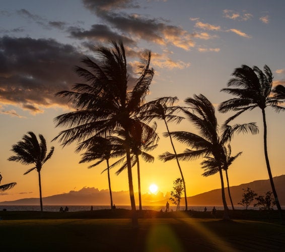 View Across The Street