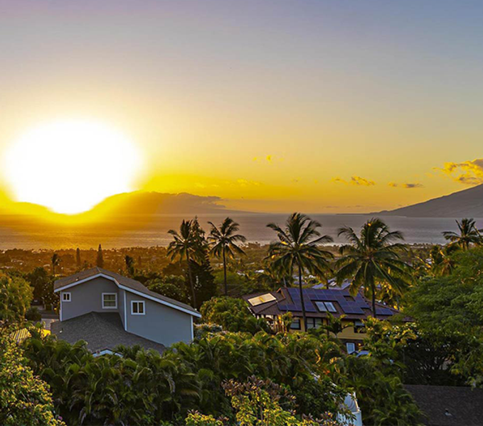 Maui Meadows