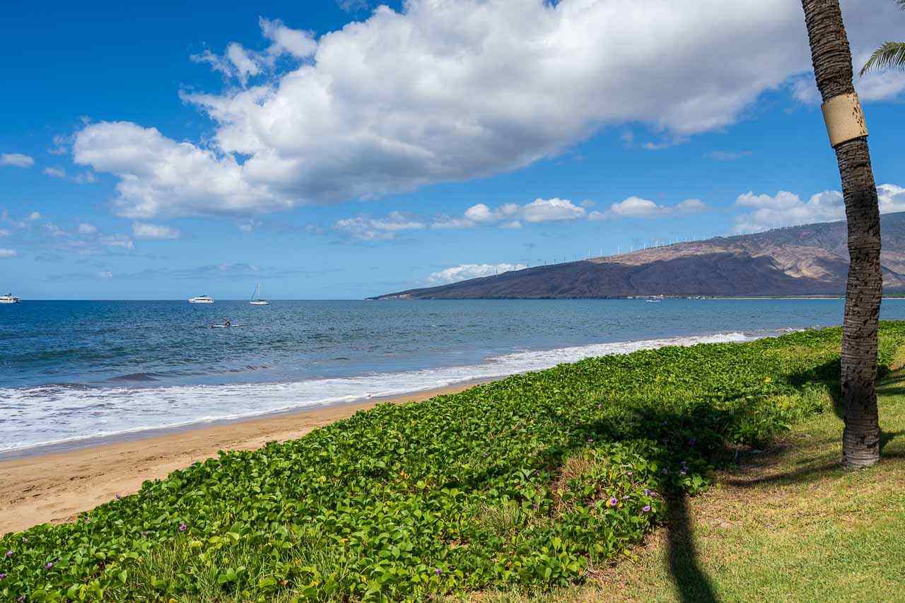 Walking the beach in North Kihei at Sugar Beach Resort