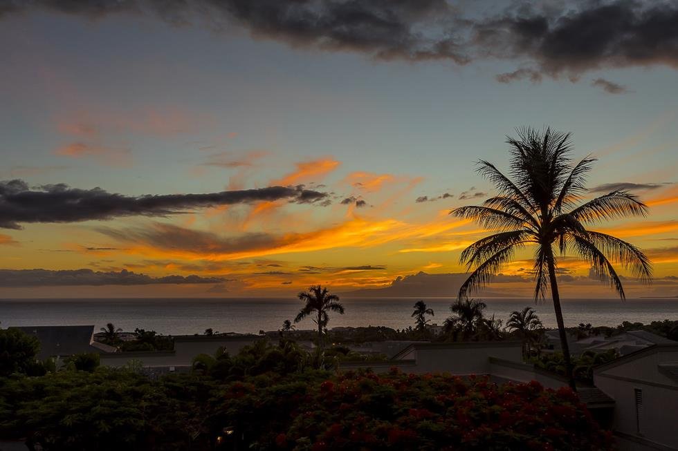 Discover Maui's Legacy with Local Experts