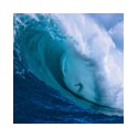 Big wave surfing at Jaws Peahi Maui