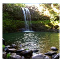 Twin Falls