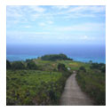 Waihee Ridge Trail