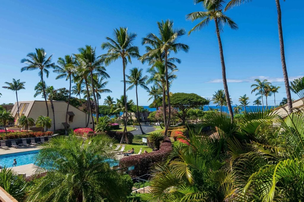 Resort Amenities