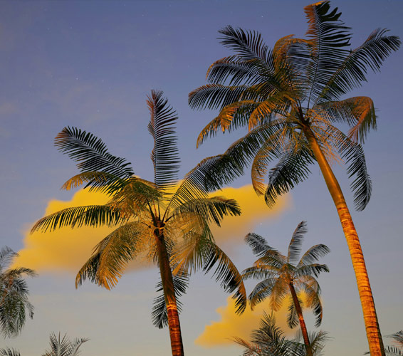 Kihei Akahi