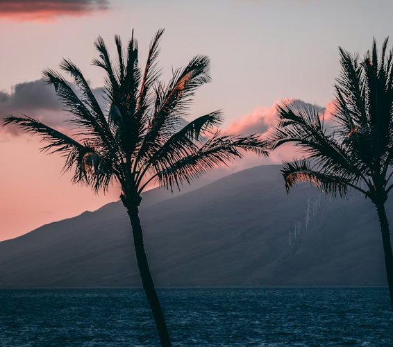 Maui Hill Condos
