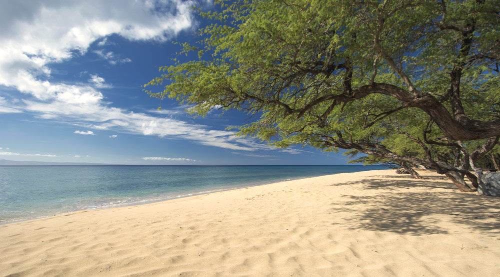 Papalaua Beach, also known as Grandma's Beach, on Maui